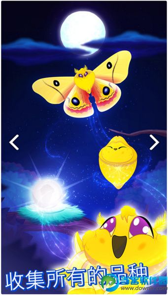 彩翼之星夜