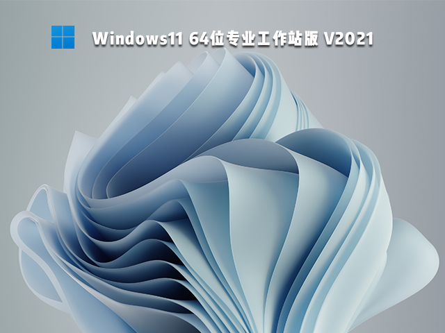 Windows11 64位专业工作站版 V2021