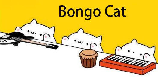 Bongo