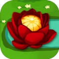 锦上添花 V1.0.3 安卓版