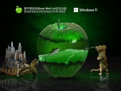 青苹果系统 Ghost Win11 64位 专业版 V2022.02