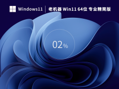 老机器专用 Win11 22H2 64位 专业精简版（绕过检测） V2023.02