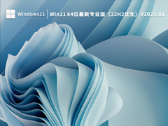 Win11 64位最新专业版（22H2优化）V2023.01