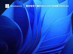 微软官网下载Win11 22H2专业版 V2023.01