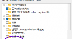 Windows 11安卓子系统最简洁的安装方式