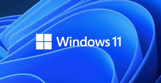 为什么win11透明任务栏用不了 win11无法使用透明任务栏解决方法