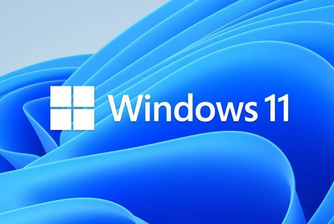 Win11错误代码为0x80070490怎么解决 Win11错误代码0x80070490