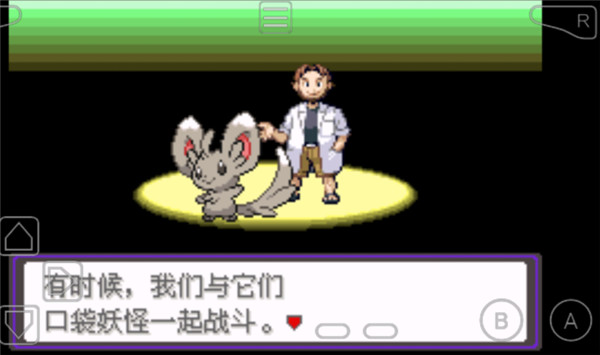 口袋妖怪漆黑的魅影修改版 v5.0
