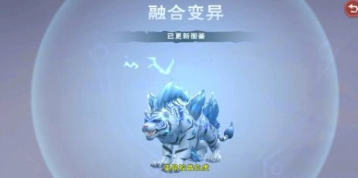 创造与魔法：白晶虎融合秘术