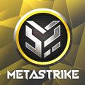 Metastrike游戏 v1.0