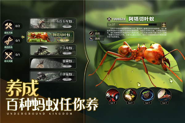 小小蚁国taptap版 v1.73.0