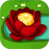 锦上添花安卓版 v1.0.1