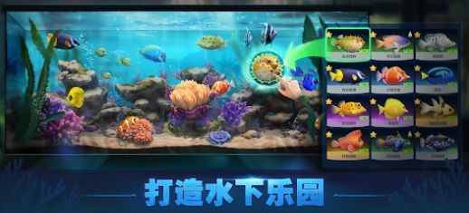 Top Fish游戏最新版图2: