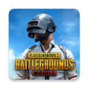 PUBG官方正版(PUBG MOBILE) v3.1.0