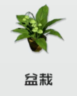 智能姬化官方版 v12.0