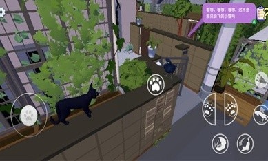 大城小猫官方版截图