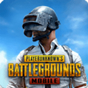 pubgmobile国际服最新版 v3.4.0