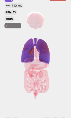 生命life中文版截图