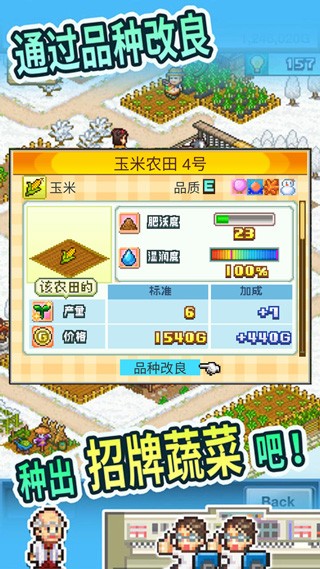 开罗晴空农场物语中文版截图