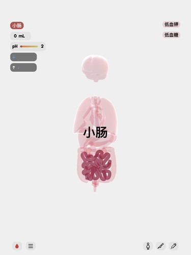 生命life官方版截图