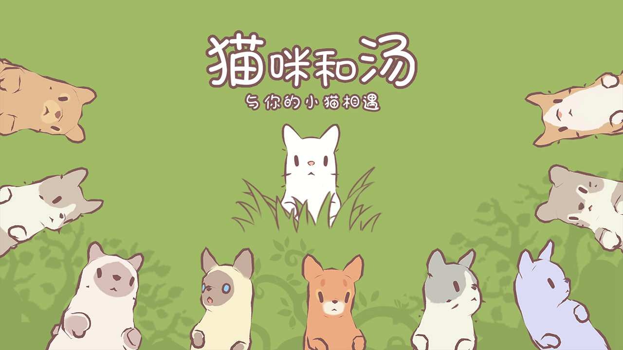 猫咪和汤2025截图