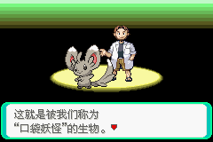 口袋妖怪漆黑的魅影截图