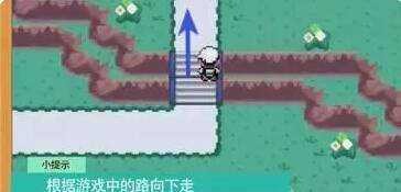 口袋妖怪漆黑的魅影