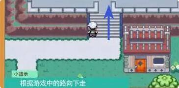 口袋妖怪漆黑的魅影