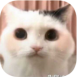 鸡汤没了官网版 V23.01.301701