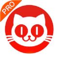 猫眼专业版官方最新版 v7.0.0