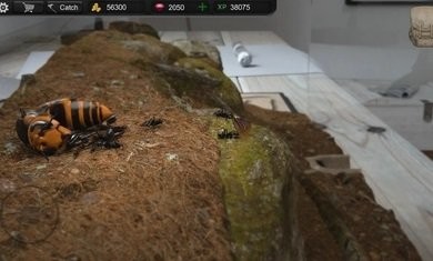 蚂蚁模拟大亨免广告截图
