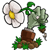 植物大战僵尸仿e支随机版v1.3.0