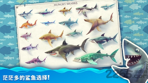 饥饿鲨世界修改版2024最新版中文 v5.4.0 安卓内购免费版 2