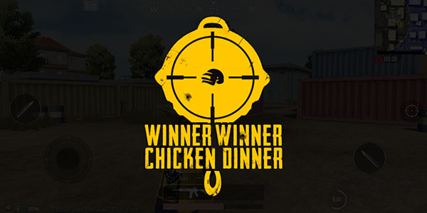 绝地求生PUBG印度服官网版 v3.0.0