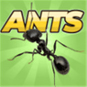 口袋蚂蚁模拟器官方版 v0.0890