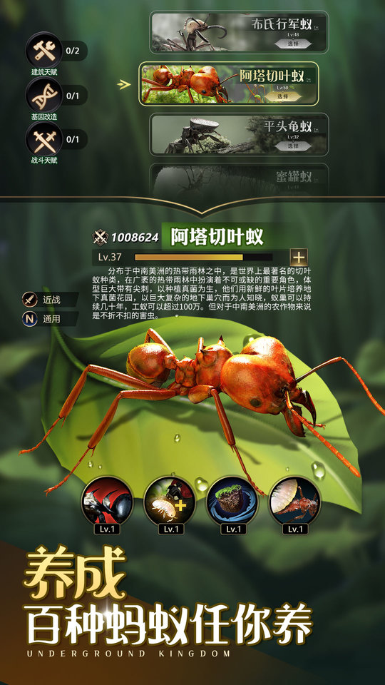 37小小蚁国官服 v1.64.0 安卓官方手机版 0