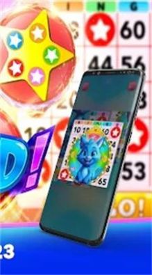 疯狂宾果游戏正版下载安装图2: