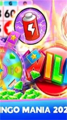 疯狂宾果游戏正版下载安装图3: