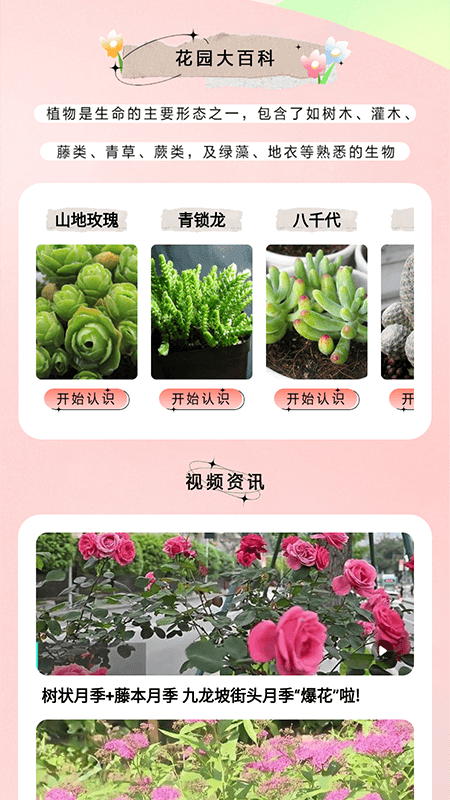 万物识图大师app最新版图1: