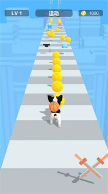 装扮宠物跑酷游戏最新版图4: