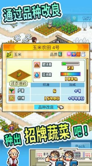 开罗晴空农场物语正版截图