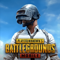 pubg国际服地铁逃生官网免费版 v2.9.0