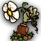 植物大战僵尸sIs版手机版最新版 v1.3.2